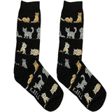 Black Cat World Short Crew Socks
