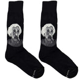 Black Einstein Socks