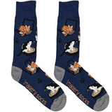 Blue Cat Playing Socks