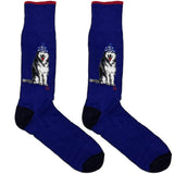 Blue RL Polo Dog Socks