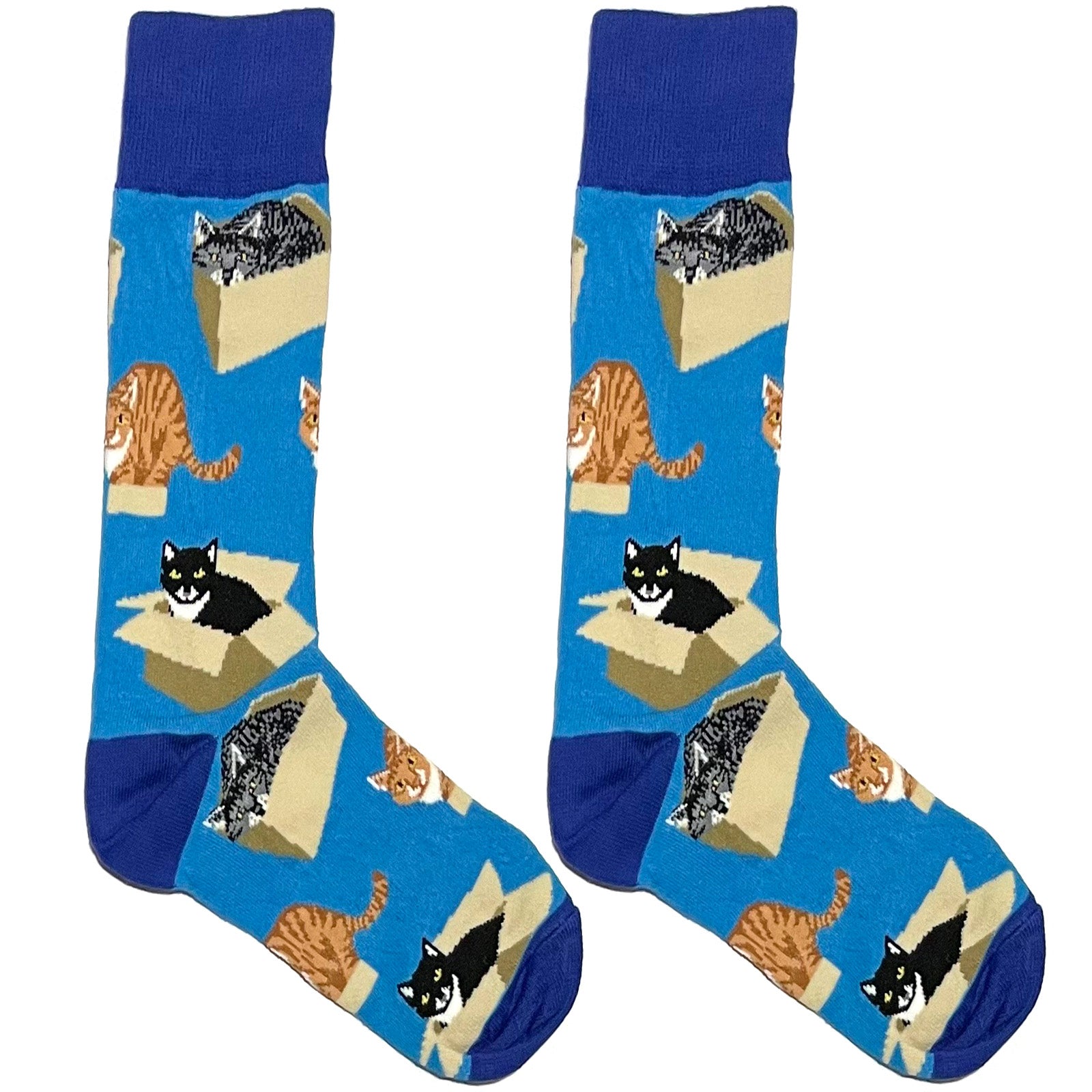 Blue Cat In Box Socks – themensden.pk