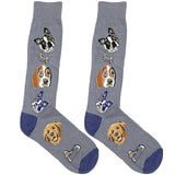 Light Blue Dog Bone Socks