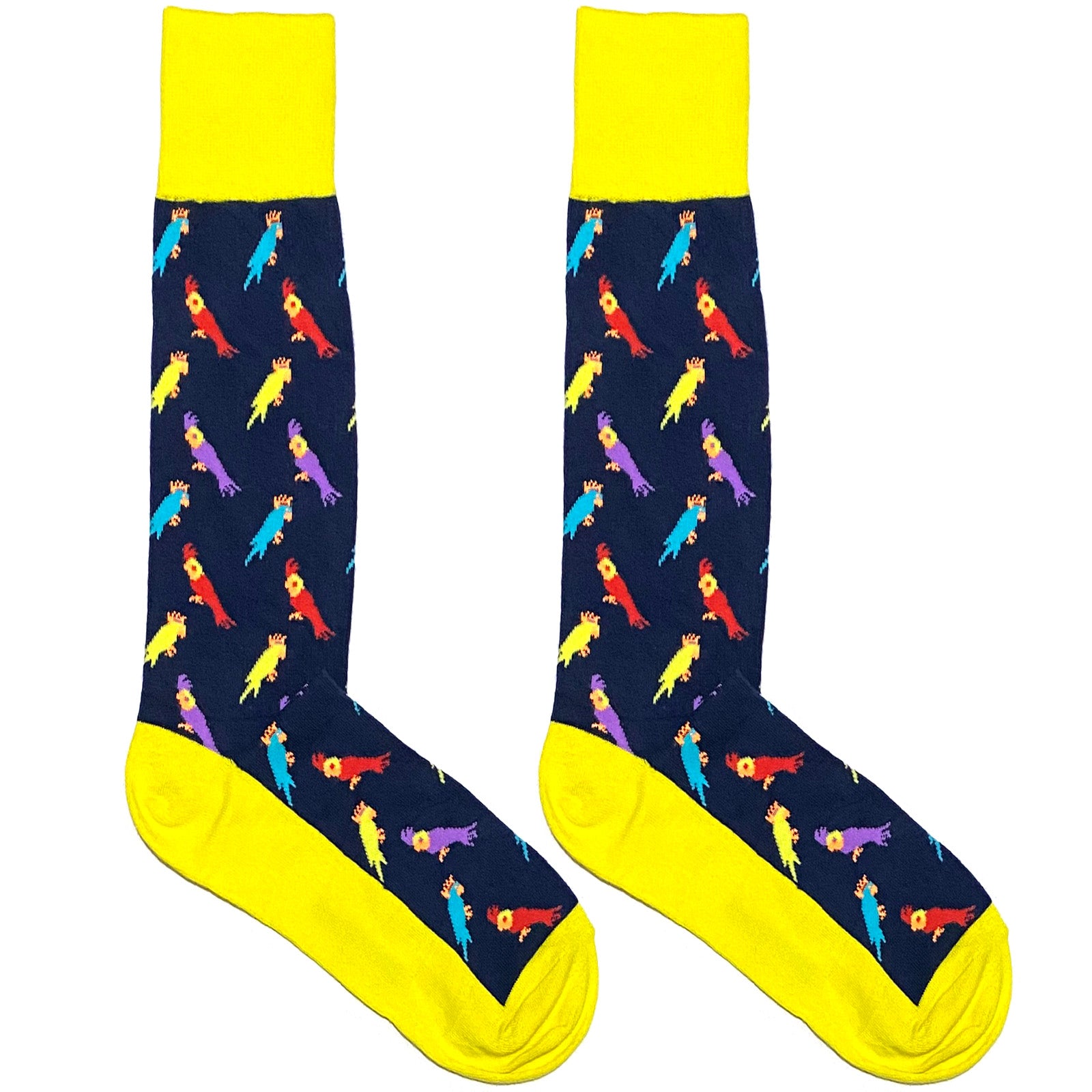 Multicolor Parrot Socks